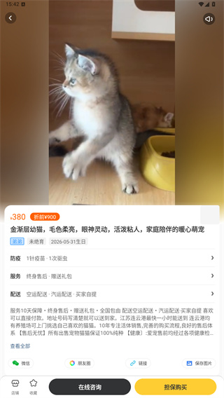 买只宠物app