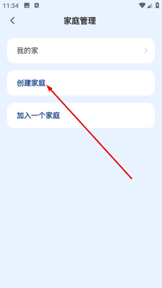 RayZig照明