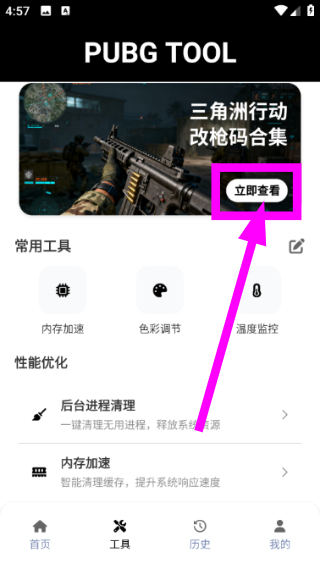 pubgtool下载入口最新