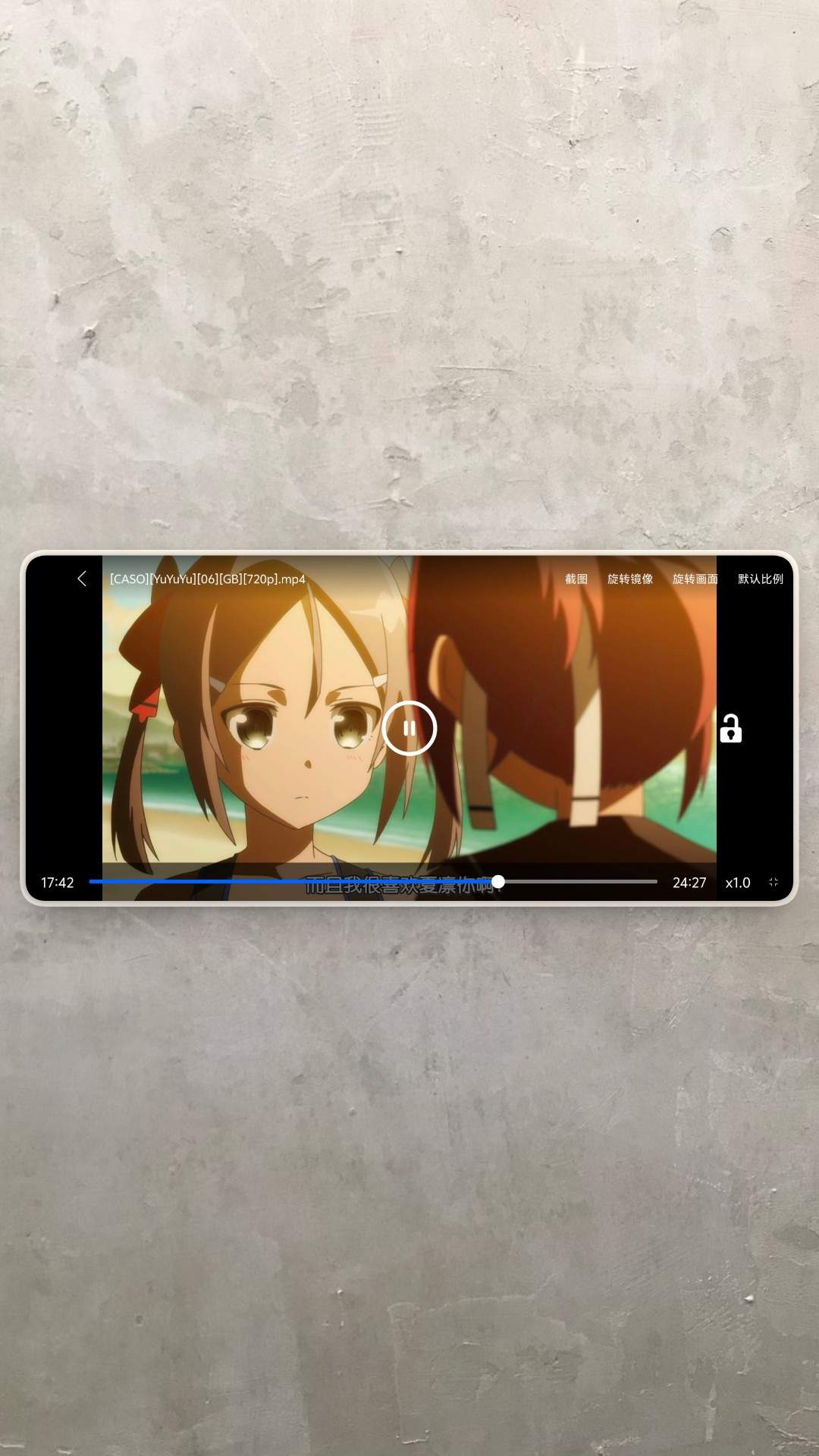次元播放器无会员