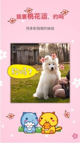 多彩视频全新版本